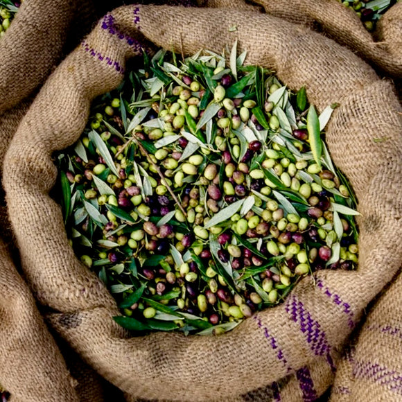 Confusion About Fusion vs. Infusion