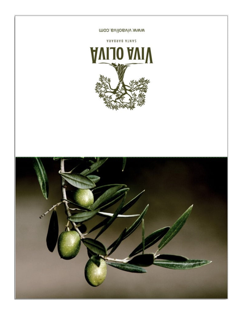 Greeting Card - Olive Branch