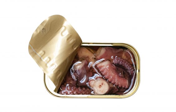 Jose Gourmet - Spiced Octopus in Olive Oil